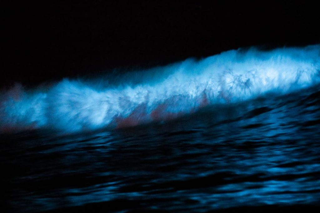 light sea art water